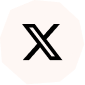 Icon-X-white